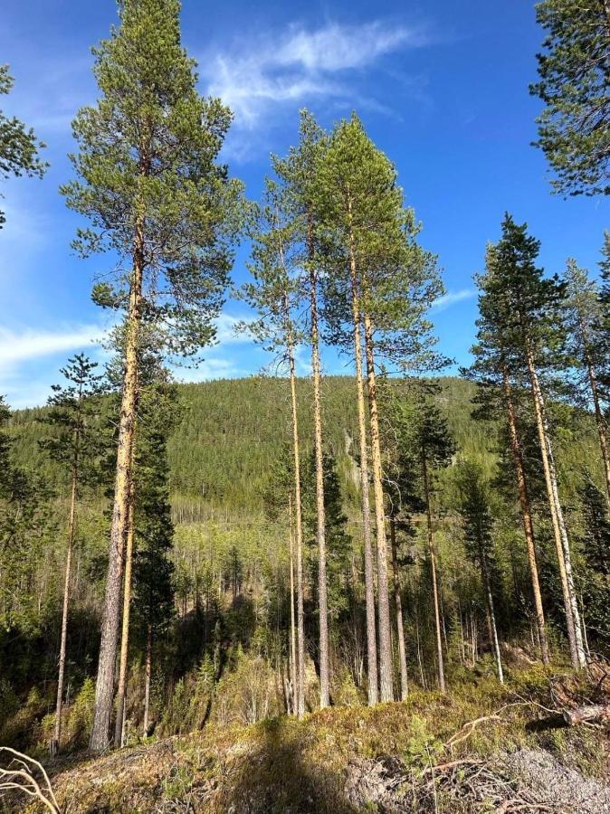 Stuga I Storklinten Harads Kültér fotó